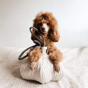 Alternative view of Zabawka węchowa Czosnek