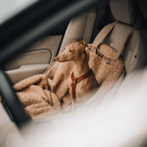 Alternative view of Torba i fotelik do auta z wypełnieniem