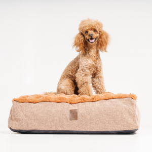 Alternative view of Legowisko Bubble