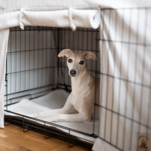 Osłona na klatkę kennelową
