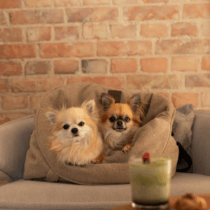 Alternative view of Torba i fotelik do auta dla psa Mania