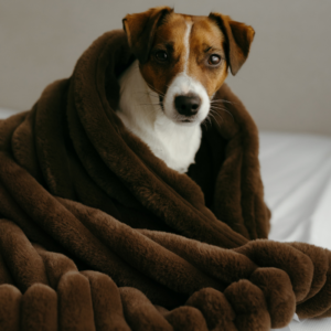 Alternative view of Koc dla psa futerkowy