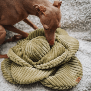 Alternative view of Zabawka węchowa Kapusta