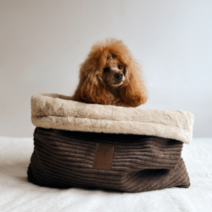 Alternative view of Śpiworek dla psa Psykryjek