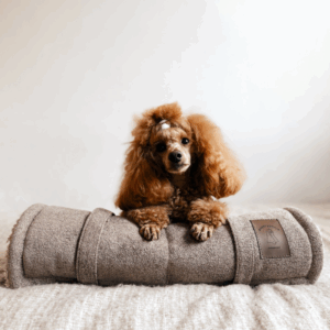 Alternative view of Przenośna mata podróżna dla psa