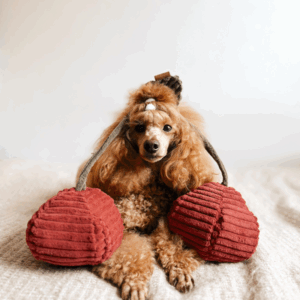 Alternative view of Zabawka węchowa Wiśnie