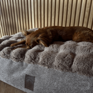 Alternative view of Legowisko Bubble