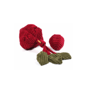 Zabawka węchowa Burak