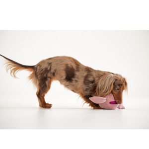 Alternative view of Zabawka węchowa - cukierek