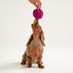 Alternative view of Zabawka węchowa Śliwka