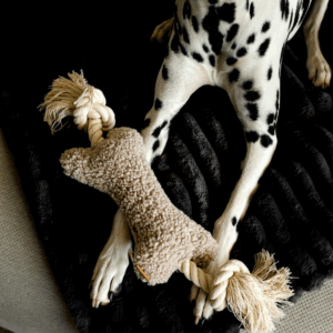 Alternative view of Szarpak dla psa - kość