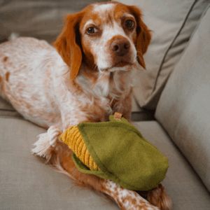 Alternative view of Zabawka węchowa - szarpak Kukurydza