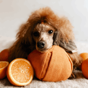 Alternative view of Zabawka węchowa Mandarynka