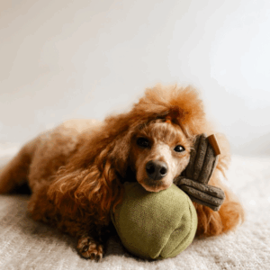 Alternative view of Zabawka węchowa Oliwka