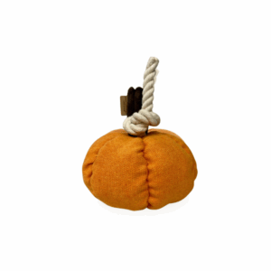 Zabawka z liną Dynia