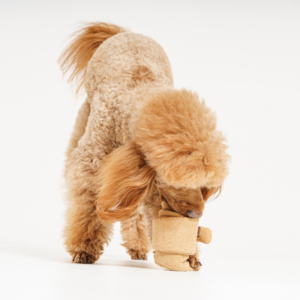 Alternative view of Zabawka węchowa Croissant