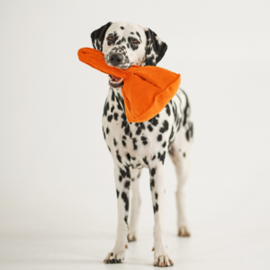 Alternative view of Zabawka węchowa Grzybek