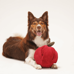 Alternative view of Zabawka węchowa Jabłko