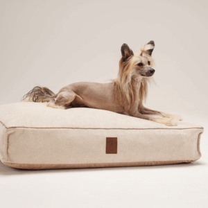 Alternative view of Legowisko Lika