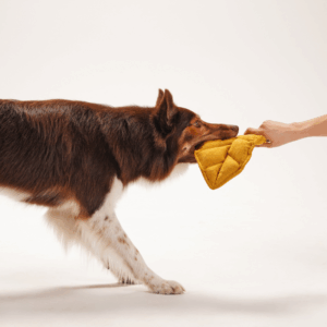 Alternative view of Zabawka z liną Liść