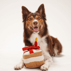 Alternative view of Zabawka węchowa Tort