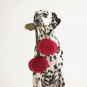 Alternative view of Zabawka węchowa Wiśnie