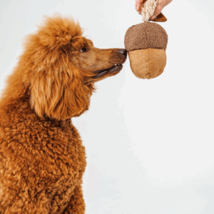 Alternative view of Zabawka węchowa - szarpak Żołądź