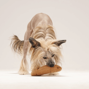 Alternative view of Zabawka węchowa Rogalik