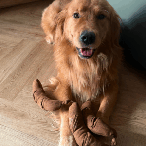 Alternative view of Zabawka węchowa Kiełbaski