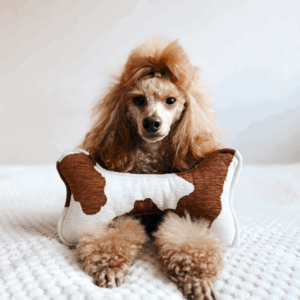 Alternative view of Zabawka kość Kostek