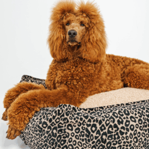 Alternative view of Legowisko Leo