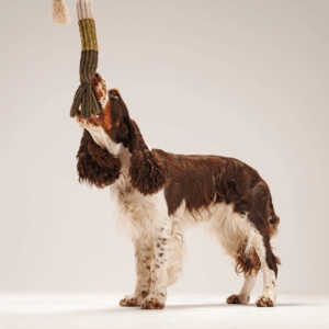 Alternative view of Zabawka szarpak - Por