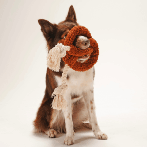 Alternative view of Zabawka Precel