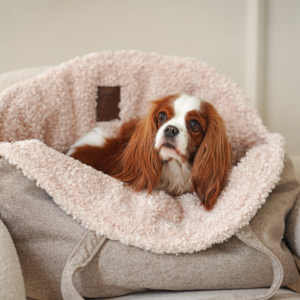 Alternative view of Torba i fotelik do auta dla psa baranek Mania