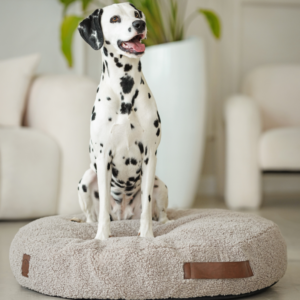 Alternative view of Legowisko dla psa - pufa Lusia