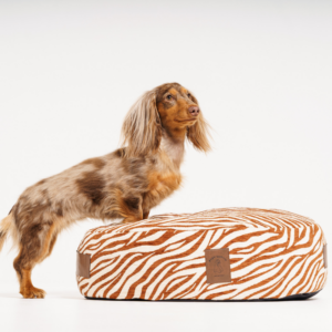 Alternative view of Legowisko dla psa - pufa Lusia wild