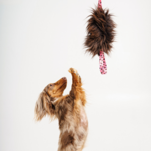 Alternative view of Naturalny szarpak dla psa z owczej skóry xs