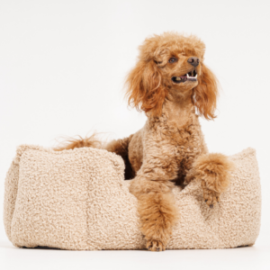 Alternative view of Legowisko Czesiek