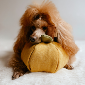 Alternative view of Zabawka węchowa Jabłko żółte