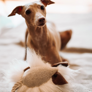 Alternative view of Myszka - naturalny szarpak dla psa ze skóry owczej