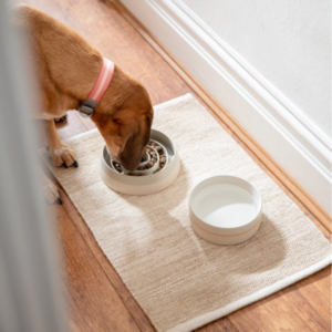 Alternative view of Miska ceramiczna spowalniająca jedzenie dla psa