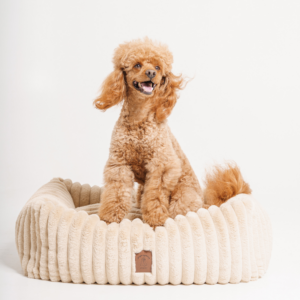 Alternative view of Legowisko Biszkopt