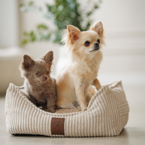 Alternative view of Legowisko Benio XS